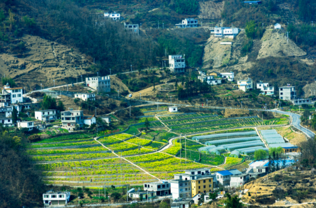 土壤墑情監(jiān)測(cè)系統(tǒng)在哪兒建站都行嗎？土壤墑情監(jiān)測(cè)系統(tǒng)的建站原則和選址要求