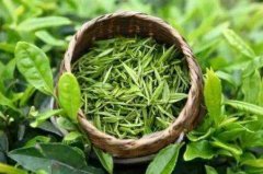 茶葉農藥檢測儀在中藥材生產(chǎn)基地的應用 茶葉農藥檢測儀在中藥材生產(chǎn)基地的應用
