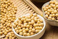 便攜式蔬菜農(nóng)藥檢測(cè)儀檢測(cè)大豆農(nóng)殘 便攜式蔬菜農(nóng)藥檢測(cè)儀檢測(cè)大豆農(nóng)殘