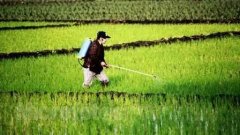 便攜式農(nóng)殘儀使用說明書 便攜式農(nóng)殘儀使用說明書