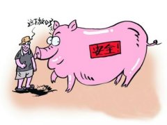 動(dòng)物疾病快速診斷儀器的使用 動(dòng)物疾病快速診斷儀器的使用