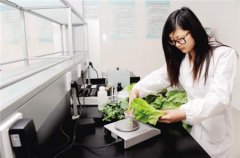 便攜式蔬菜農(nóng)藥檢測儀使用方法 便攜式蔬菜農(nóng)藥檢測儀使用方法
